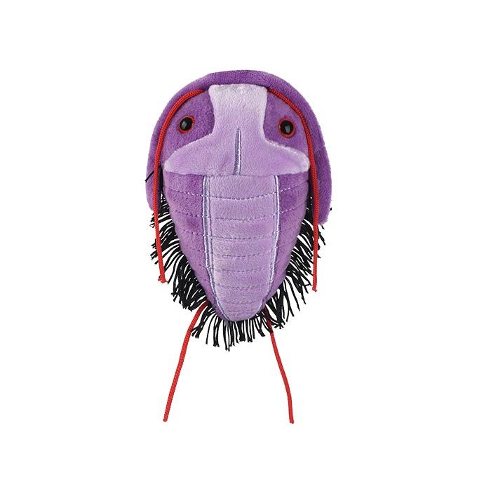 Trilobite plush front