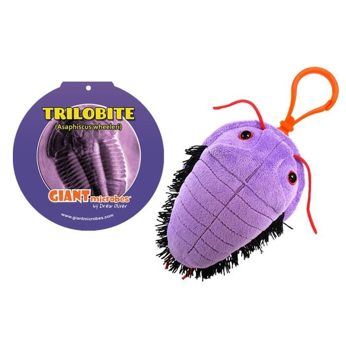 Trilobite key chain with tag