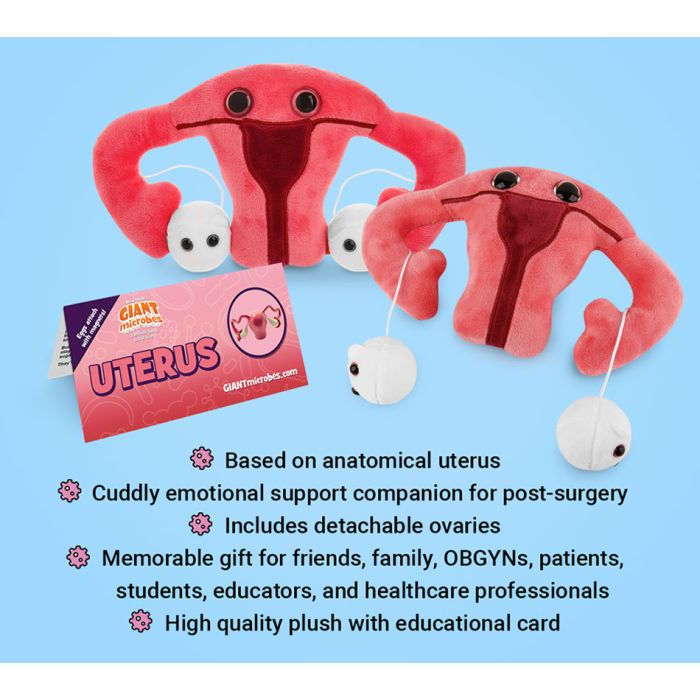 Uterus plush bullet points