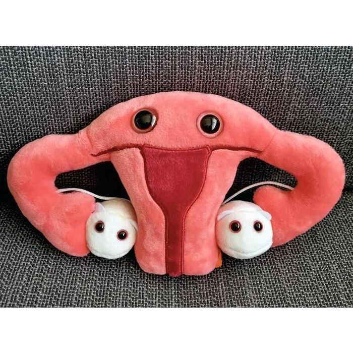 Uterus plush on couch