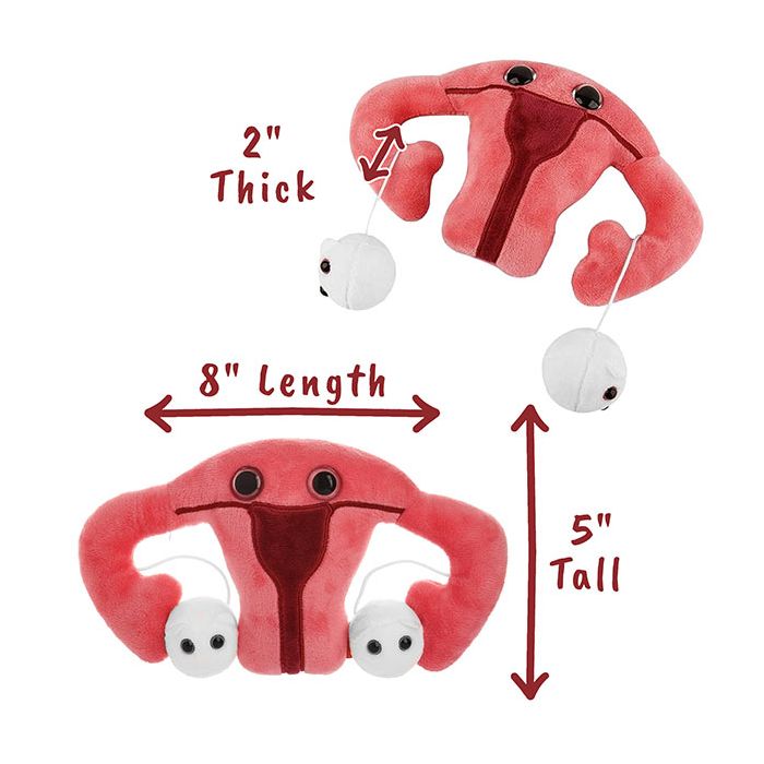 Uterus plush dimensions