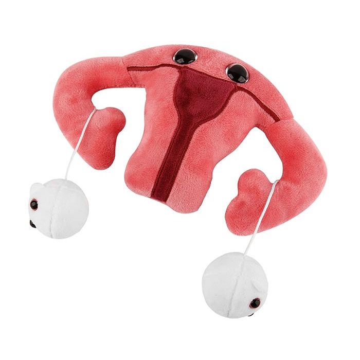 Uterus plush eggs detached