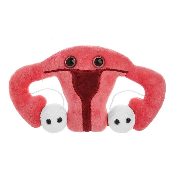 Uterus plush front