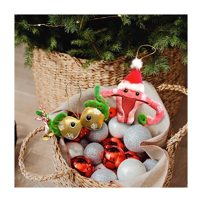 Testicles and Uterus in basket