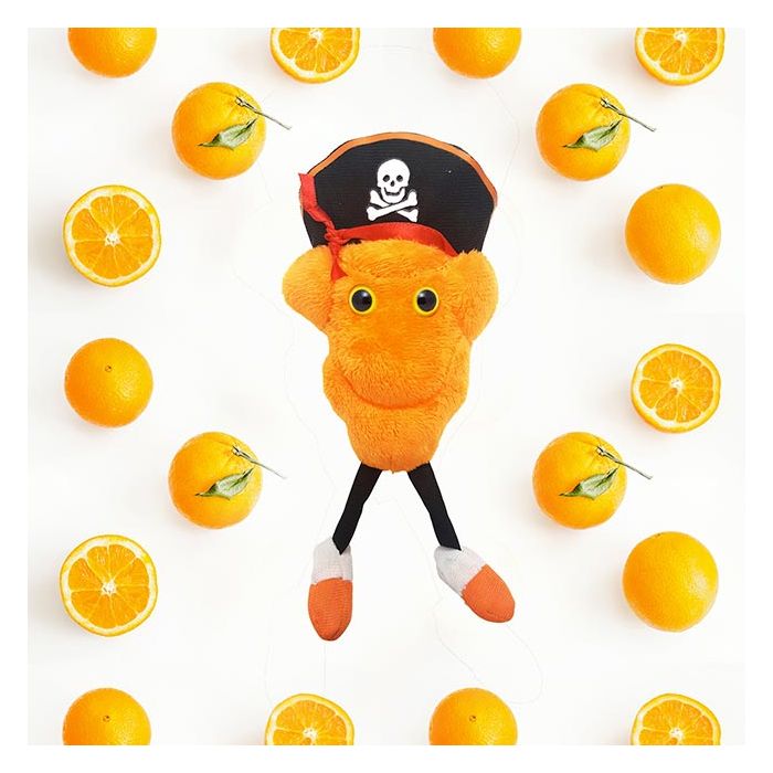 Vitamin C oranges