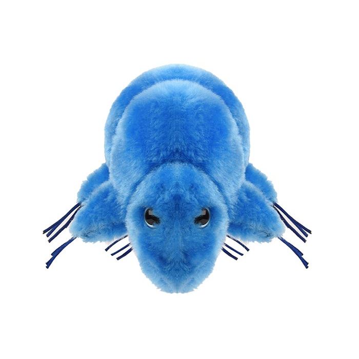 Waterbear plush doll front