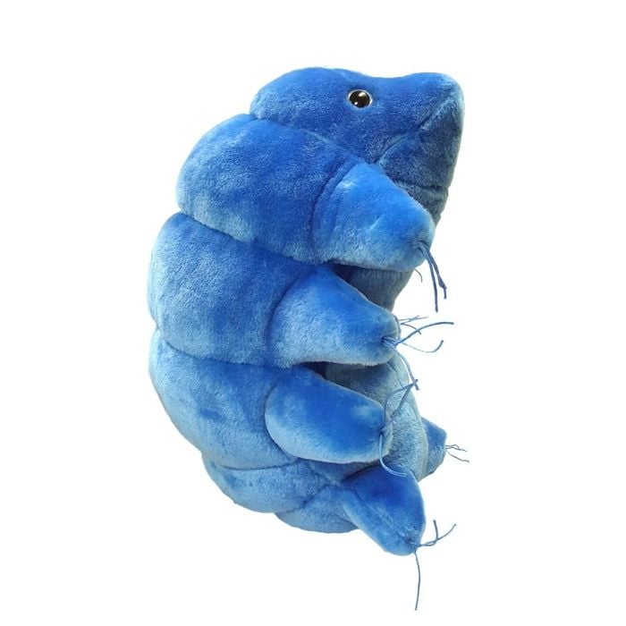 Waterbear Gigantic doll