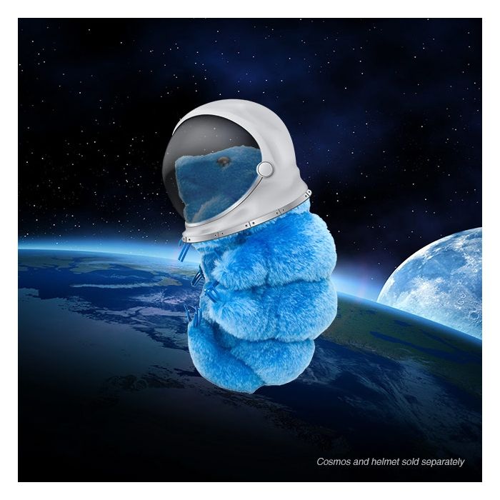 Waterbear in space