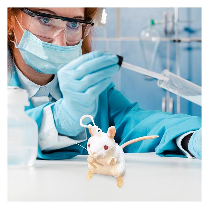 White Lab Mouse kc with scientist