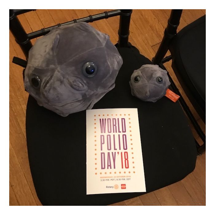 World Polio Day