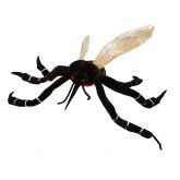 Mosquito (Culex pipiens)