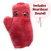 Heart Cell (Cardiomyocyte)