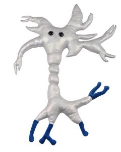 Brain Cell gigantic new front