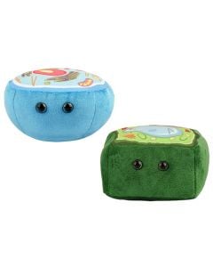 Cell Biology Deluxe 2-pack