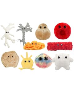 Cells Deluxe new group