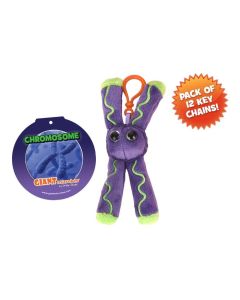 Chromosome key chain 12 pack