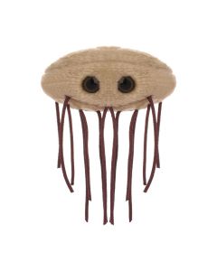 E. coli plush front
