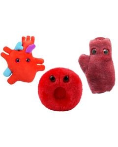 Heart Health Deluxe 3-pack bundle