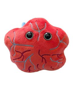 Placenta plush front