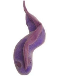 Sleeping Sickness doll