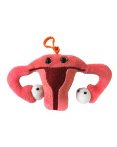 Uterus key chain