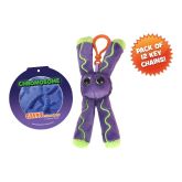 RNA Key Chain 12 Pack