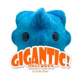 Common Cold Gigantic 13"
