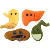 Digestion Deluxe 4-Pack