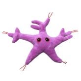Brain Cell (Neuron)