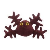 Nephrology Deluxe 3-Pack