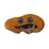 Digestion Deluxe 4-Pack