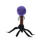 T4 (T4-Bacteriophage)