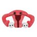 Uterus plush front