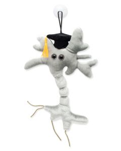 Graduation Brain plush doll