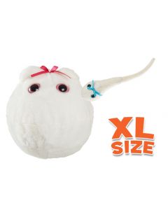 Egg Cell XL 6" & Mini Magnetic Sperm Cell