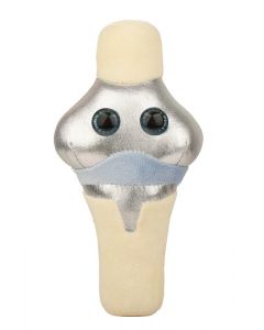 Knee Replacement plush front