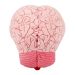Brain plush back