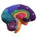 Brain plush model left