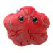 Placenta plush front