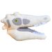 Velociraptor gigantic plush