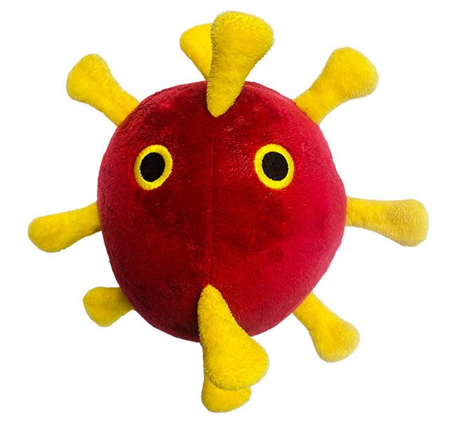 Coronavirus dog toy
