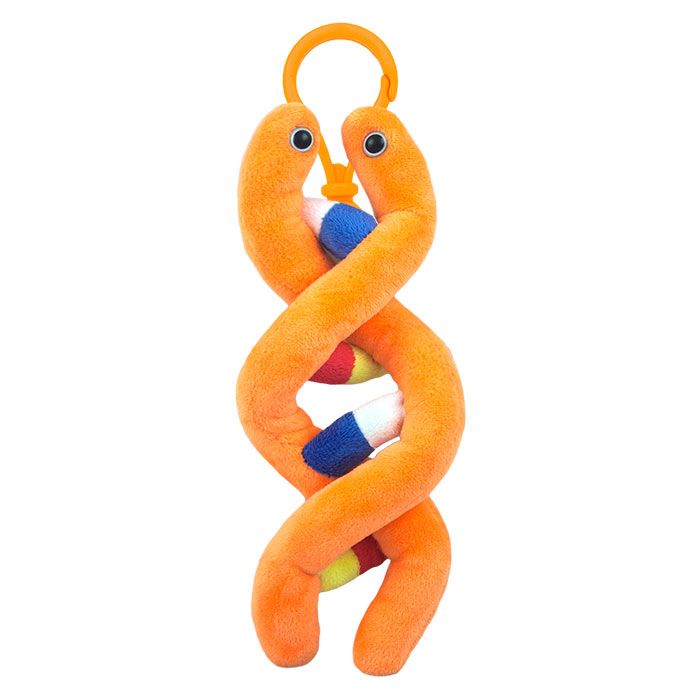 DNA key chain