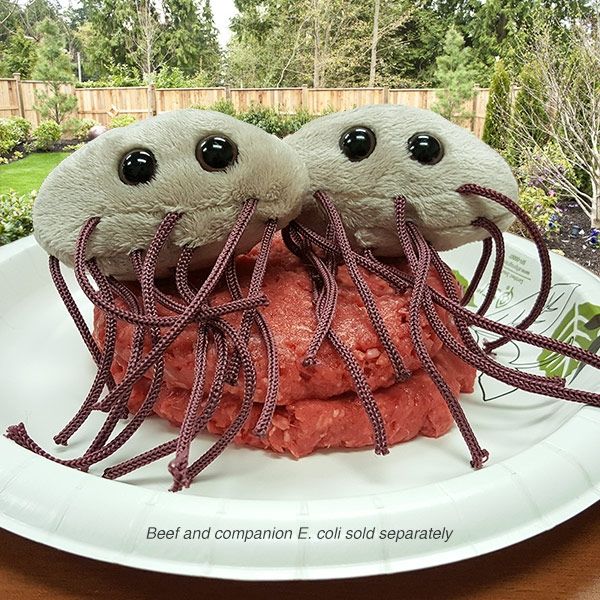 E. coli hamburgers