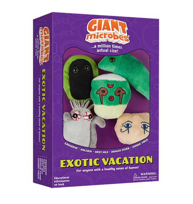 Exotic Vacation box