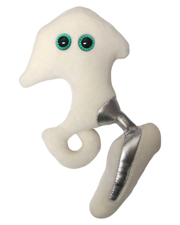 Hip Replacement plush doll