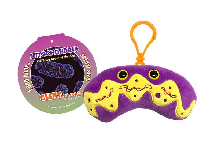 Mitochondria key chain