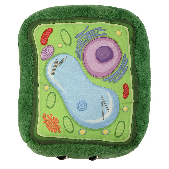 Plant Cell plush top