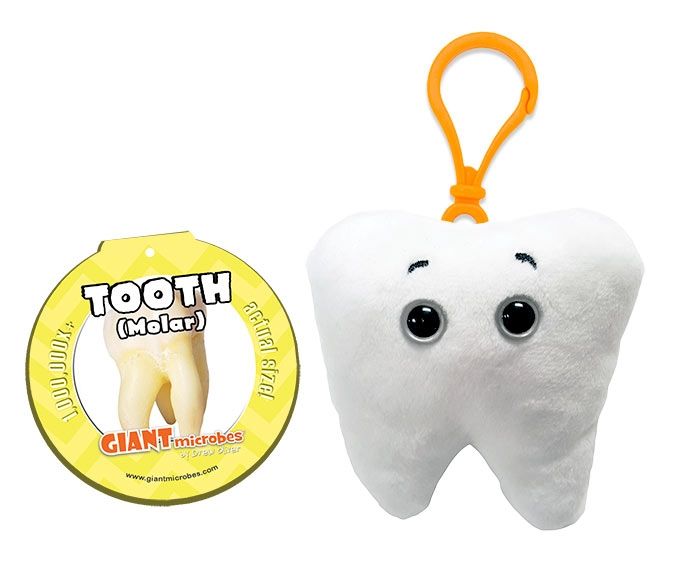 Tooth Key Chain with tag