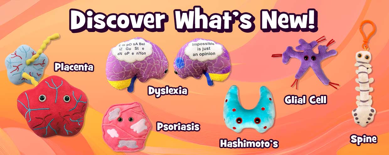 Discover What's New!